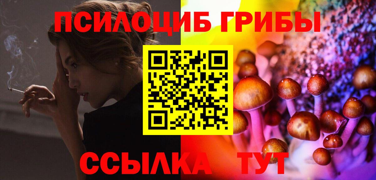 Галлюциногенные грибы Psilocybe  Вход с VPN  Владимир  Псилоцибиновые грибы мухоморы 